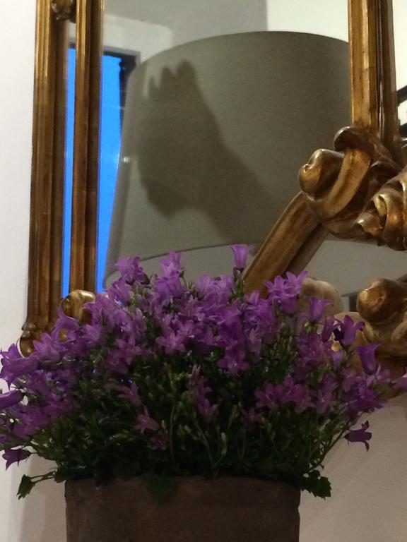 パヴィーア Le Stanze Del Cardinale Bed & Breakfast エクステリア 写真